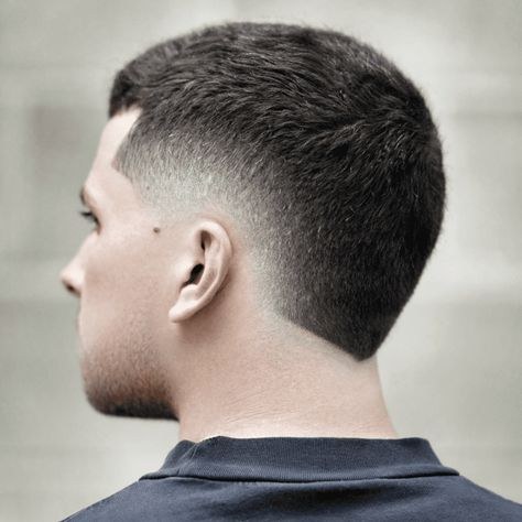 Short rear profile showing the fade kept below the occipital ridge.